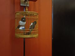 -了凡国风主题茶馆·咖啡(武侯祠锦里店)