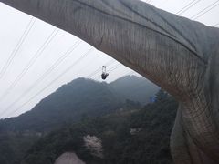 -梦幻奥陶纪景区