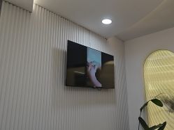 -艺之剪