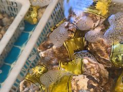 -锅老头铁锅炖•大锅蒸汽海鲜(韩乐坊店)