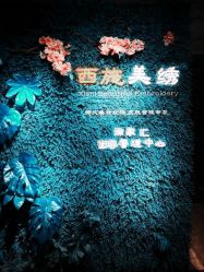 -西施无菌半永久纹绣眉眼影唇轻增发纹发际线