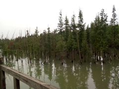 -三圣花乡旅游区