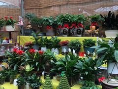 -秦美花卉(天朗·莱茵小城2期店)