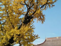 -苏州文庙(姑苏区)