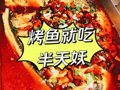 -半天妖烤鱼(芝罘万达店)