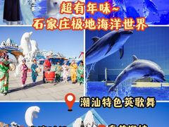 -石家庄极地海洋世界