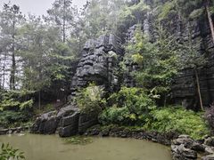 -梭布垭石林景区