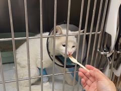 -德元·美联众合24小时动物医院(总院)
