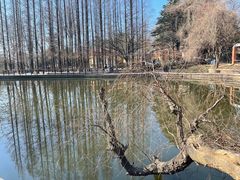 -八大关景区