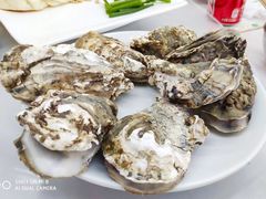 小生蚝-渔民船说·北塘海鲜·天津菜·海肠捞饭(北塘古镇店)