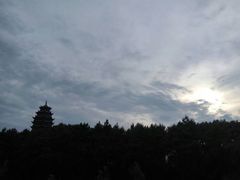 -铁山坪森林公园