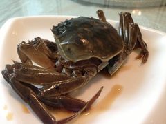 iphone_upload_pic-新光酒家·河豚·海鲜·蟹料理(浦东店)