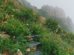 -白草畔自然风景区