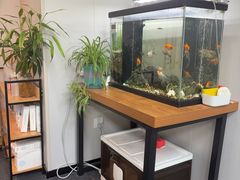 -会麦二手奢侈品包包手表回收寄卖(八佰伴店)
