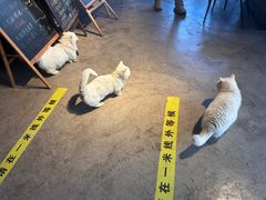 -木沐影咖(鑫乐汇购物广场店)