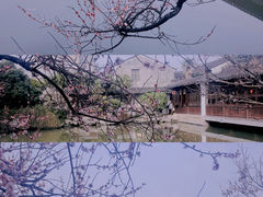 -艺圃