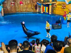 -烟台海昌鲸鲨海洋公园