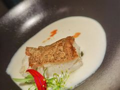 阿拉斯加银鳕鱼-觀芷隐轩