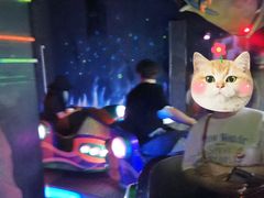 -朝阳公园游乐园