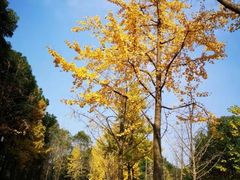 -中国浦东干部学院