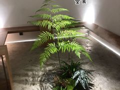 -光作面包Voila Lumiere(中山店)