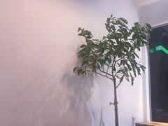 -琥珀咖啡 Ambercoffee