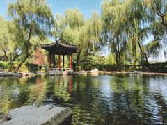 -百脉泉景区