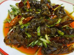 -京门活鱼馆·鱼火锅(百子湾（原红庙）店)