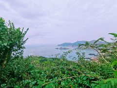 -枸杞岛