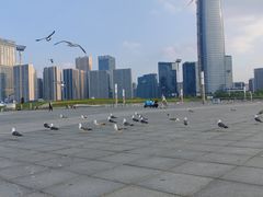 -东港音乐喷泉广场