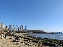 -海味当家·蒸锅海鲜(星海公园店)