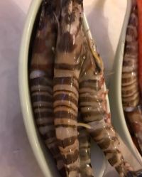 点击看大图 -悦鼎会海鲜姿造·宴会厅(东方明珠广场店)