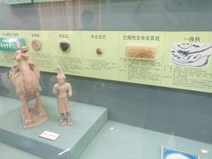 -北京中医药大学-中医药博物馆