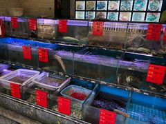 水产区-金海湾海鲜排档(朱家尖店)
