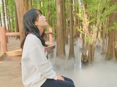 -东湖落雁景区