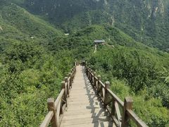 -大岭沟猕猴桃谷风景区