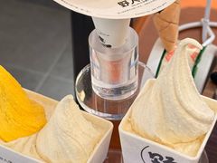 -野人先生Gelato(上海长宁龙之梦店)
