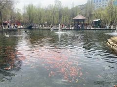 -水磨沟公园
