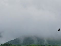 -凤凰山国家森林公园