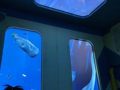 -珠海横琴国家地理探险家中心(创新方)