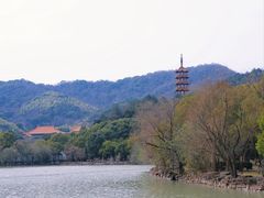 -天下玉苑