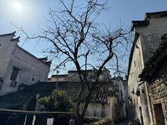 -塔川景区