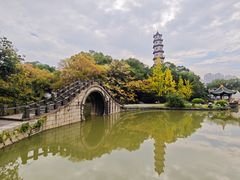 -江心屿景区