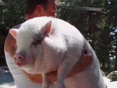 -朱阿根烧饼(赤峰路店)