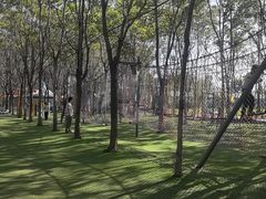 -草根堂农场
