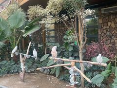 -南宫五洲植物乐园