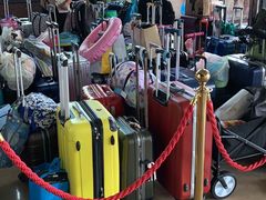 -上海东方佘山翰悦阁酒店·Vie全日制餐厅