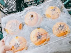 -渔意楼·驰名沙田乳鸽(五羊旗舰店)