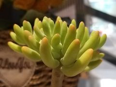 -新华里咖啡书吧(新华书店小寨店)