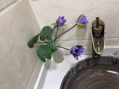 -素行天下(国投财富广场店)